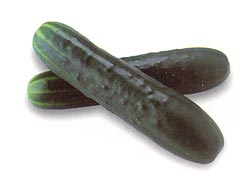 French Cucumber