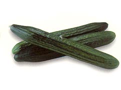Almería Cucumber