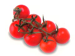 Branch Tomato
