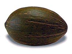 Piel de Sapo Melon